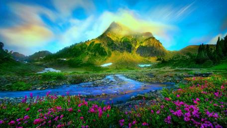 Mountain Meadow in Bloom wallpaper