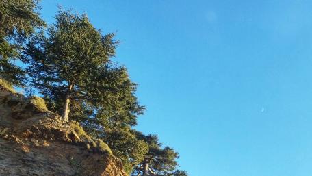 Serene Moment Under the Clear Blue Sky wallpaper