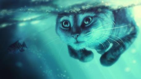 Swimming cat wallpaper