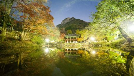 Serene Autumn Reflections in a Peaceful Park wallpaper