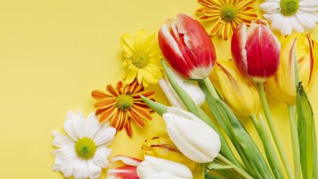 Flower corner wallpaper