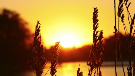 Golden Sunset Over Tranquil Waters wallpaper