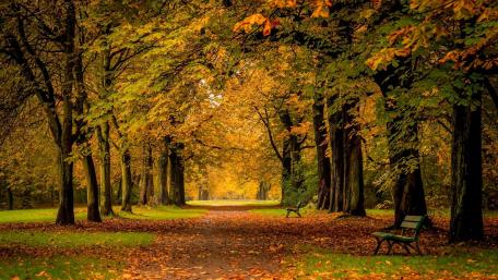 Autumn Serenity in Nature's Embrace wallpaper