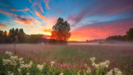 Misty sunrise wallpaper