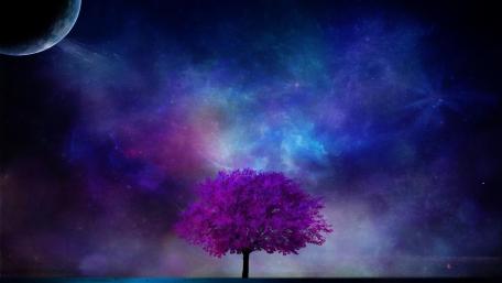 A Midnight Dream Under Cosmic Skies wallpaper