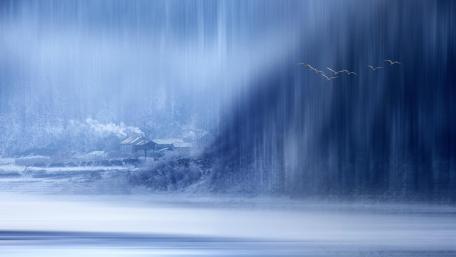 The Morning wallpaper