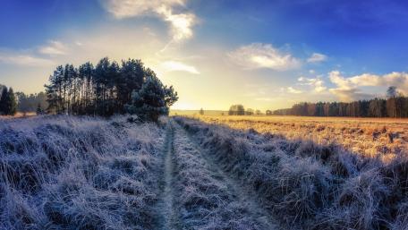Frozen Tranquility in the Morning Light wallpaper