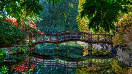 Serene Wooden Bridge in Lush Garden wallpaper