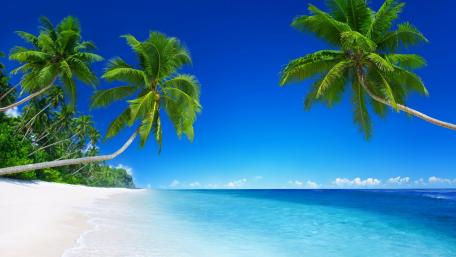 White sand tropical beach wallpaper