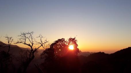 Majestic Sunset Behind Silhouetted Trees wallpaper