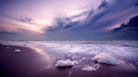 Purple seashore landscape wallpaper