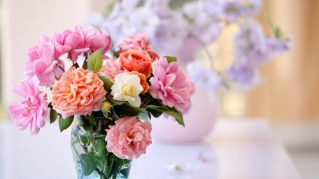 Pion bouquet wallpaper