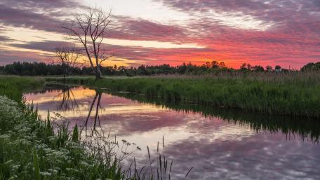 Majestic Dawn Over Marshlands wallpaper