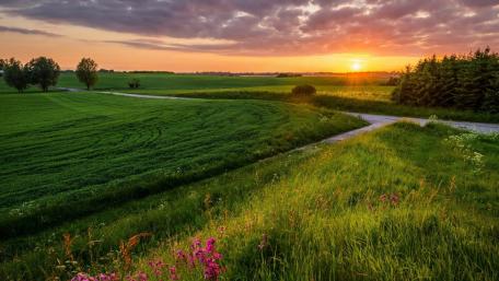 Breathtaking Sunrise Over Serene Grassland wallpaper