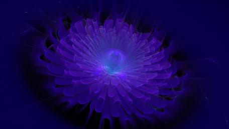 Electric Blue Floral Fractal Glow wallpaper
