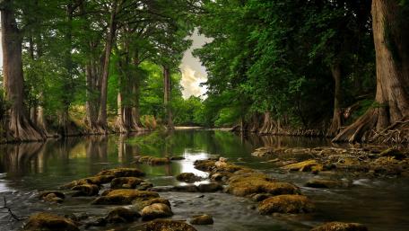 Tranquil Forest River Scene wallpaper