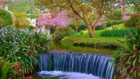 Springtime Serenity in a Blooming Garden wallpaper