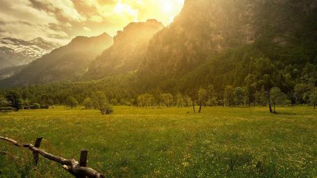 Golden Sunshine Over Mountain Meadow Landscape Artistry wallpaper