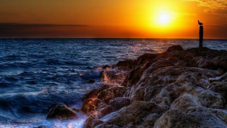 Serene Sunset Over Ocean Waves wallpaper
