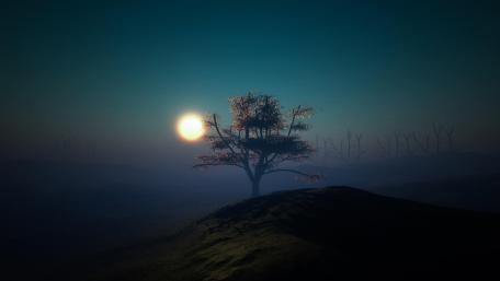 Lone Tree Under Moonlit Sky at Twilight wallpaper