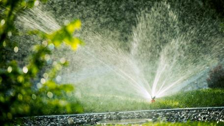 Lush Green Garden Irrigation Scene wallpaper