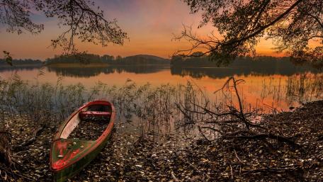 Serene Sunset Over Tranquil Wetlands wallpaper
