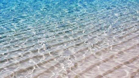 Tranquil Waves on a Serene Shore wallpaper