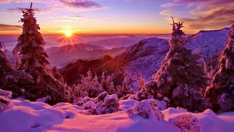 Purple winter sunset wallpaper