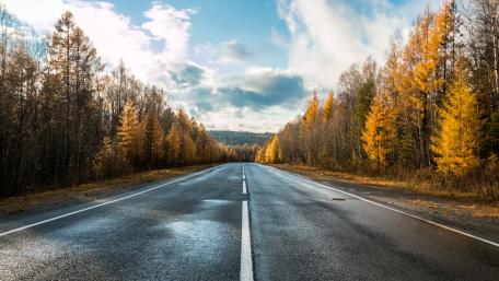 Endless Road Through Autumn Forests wallpaper