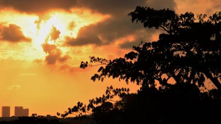 Sunset wallpaper
