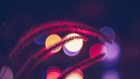 Bokeh neon lights wallpaper