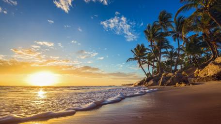 Tropical sunrise wallpaper