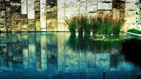 Tranquil Waterscape Reflection in Nature's Embrace wallpaper