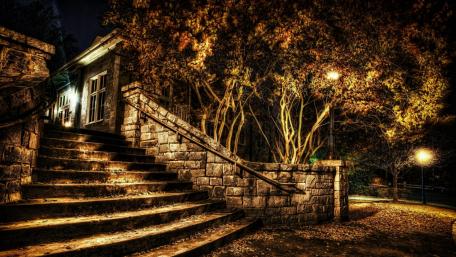 Enchanting Autumn Night in the Park wallpaper