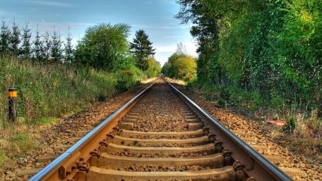 Journey Through Serene Wilderness wallpaper