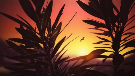 Vibrant Sunset Behind Lush Foliage wallpaper