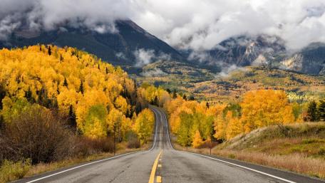 Winding Road through Autumn's Vibrant Colors wallpaper