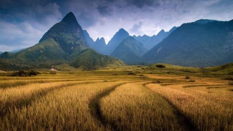 Fansipan Mountain in Sapa (Vietnam) wallpaper