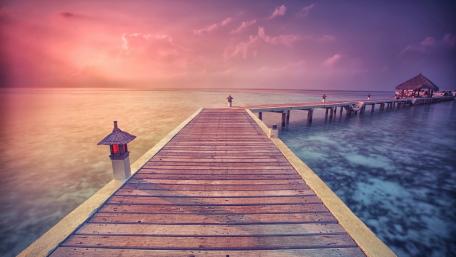 Tropical paradise wallpaper