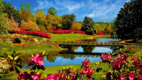 Botanical Bridge in Autumn Splendor wallpaper
