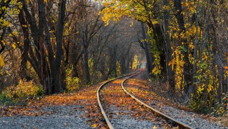 Autumn Railway Through a Golden Forest wallpaper