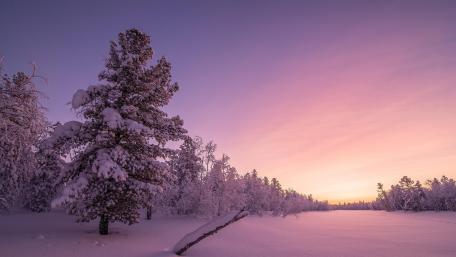 Frosty sunrise wallpaper