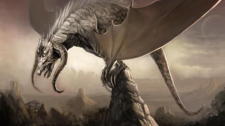 White dragon drawing illustration wallpaper