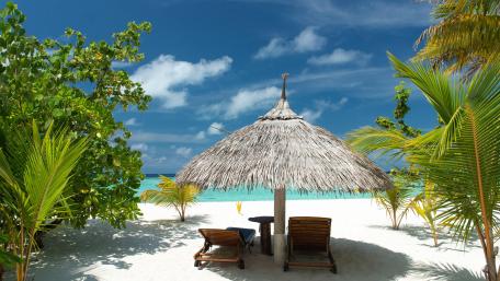 Tropical Paradise Escape for Summer Relaxation wallpaper