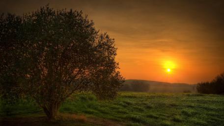 Calm meadow at sunset wallpaper