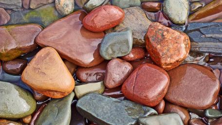 Wet pebble wallpaper