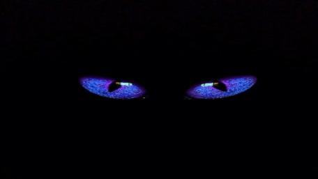 Mysterious Gaze in Pitch Darkness wallpaper