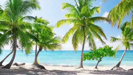 Catalina Island (Dominican Republic) wallpaper