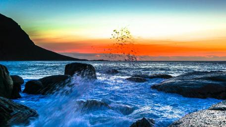 Sunset Serenity by the Ocean Shore wallpaper