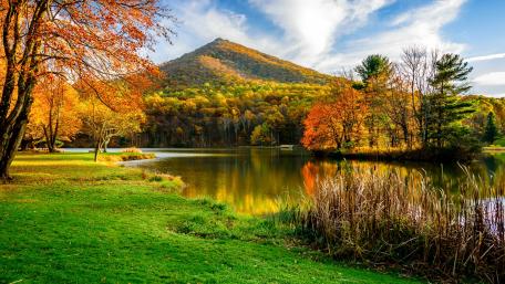 Autumn Serenity by the Lake wallpaper